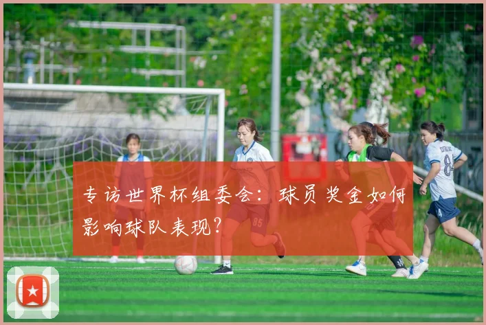 专访世界杯组委会：球员奖金如何影响球队表现？
