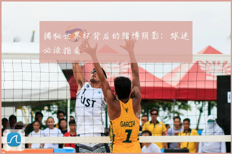揭秘世界杯背后的赌博阴影：球迷必读指南