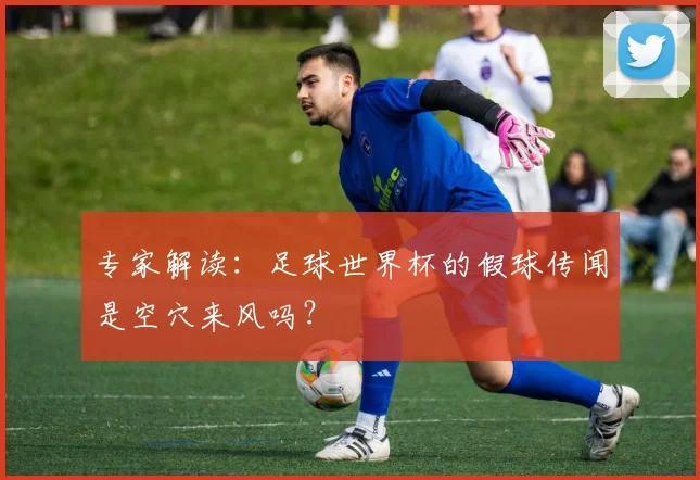 专家解读：足球世界杯的假球传闻是空穴来风吗？