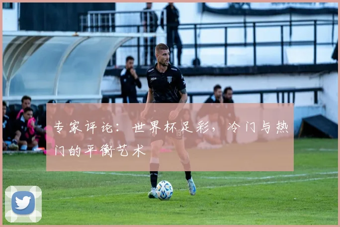 专家评论:世界杯足彩,冷门与热门的平衡艺术