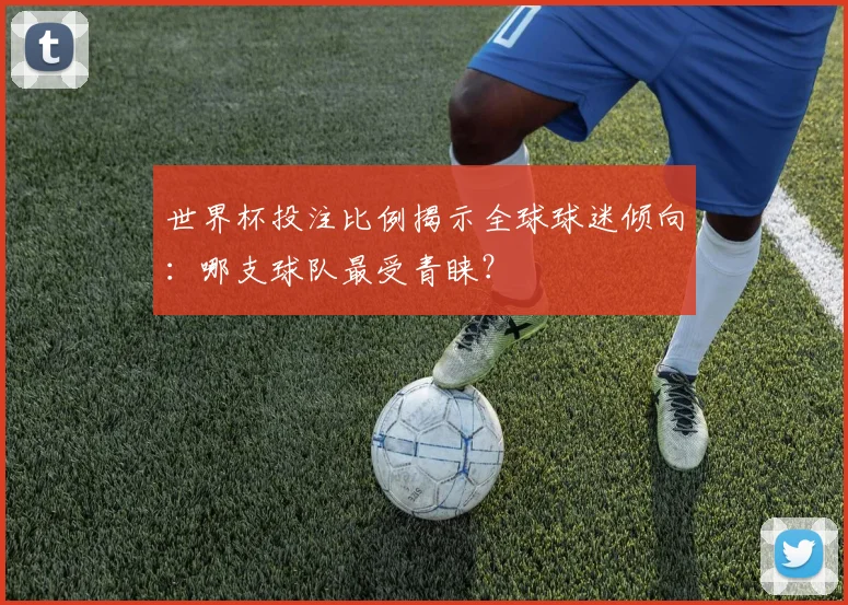世界杯投注比例揭示全球球迷倾向：哪支球队最受青睐？