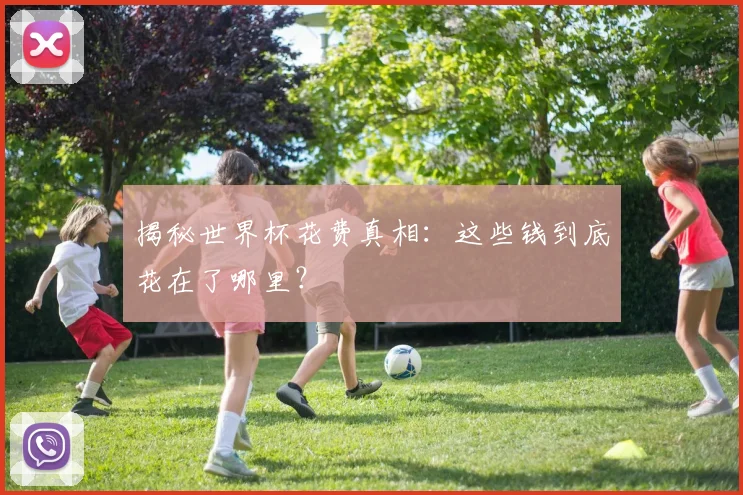 揭秘世界杯花费真相：这些钱到底花在了哪里？