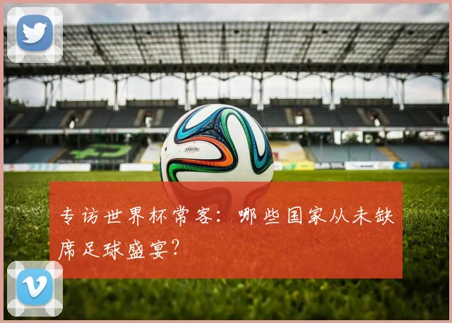 专访世界杯常客：哪些国家从未缺席足球盛宴？