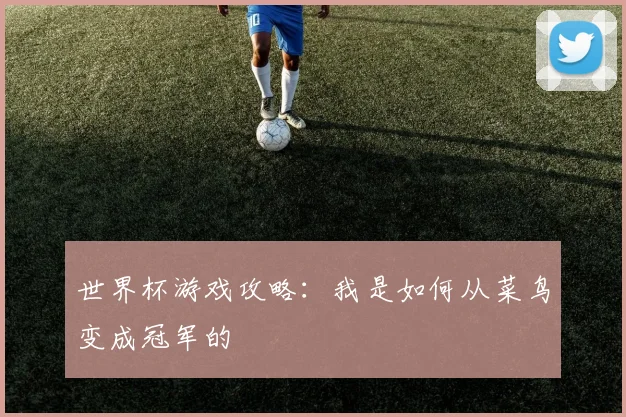 世界杯游戏攻略：我是如何从菜鸟变成冠军的