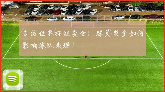 专访世界杯组委会：球员奖金如何影响球队表现？