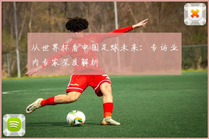 从世界杯看中国足球未来：专访业内专家深度解析