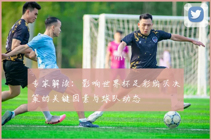 专家解读:影响世界杯足彩购买决策的关键因素与球队动态