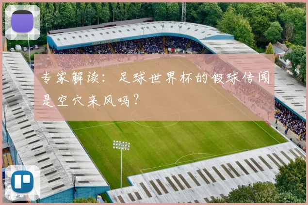 专家解读：足球世界杯的假球传闻是空穴来风吗？