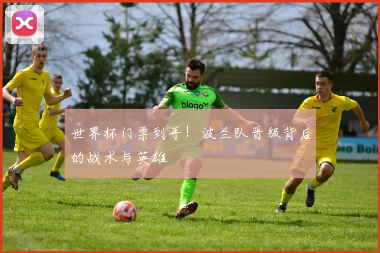 世界杯门票到手!波兰队晋级背后的战术与英雄