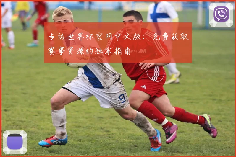 专访世界杯官网中文版：免费获取赛事资源的独家指南